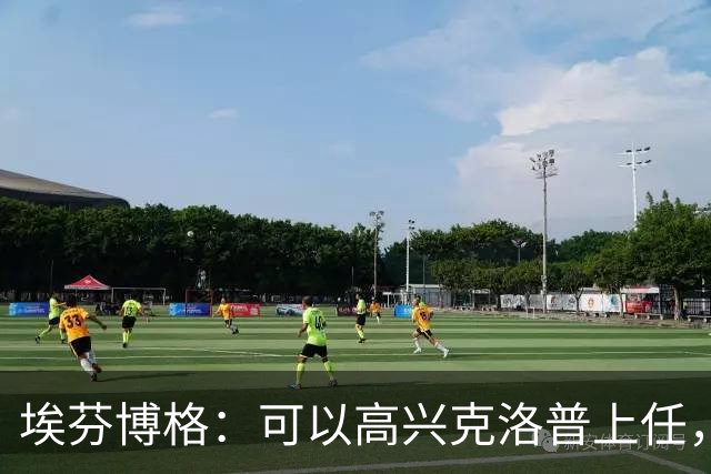 埃芬博格：可以高兴克洛普上任，但不能忽略德国已非顶级球队